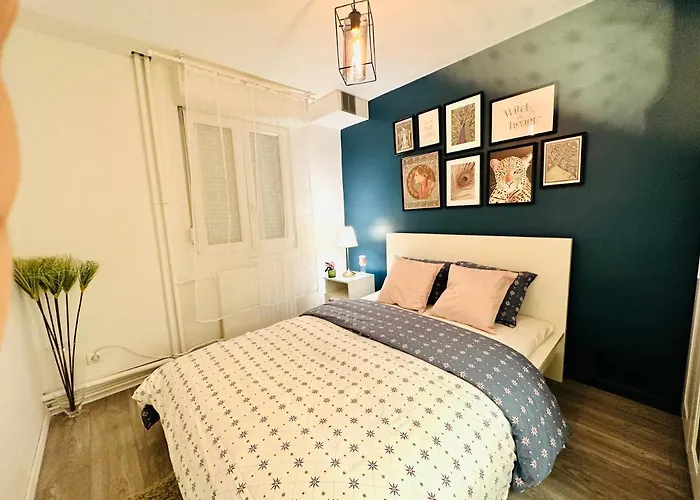 Cosy Sablons * 메스